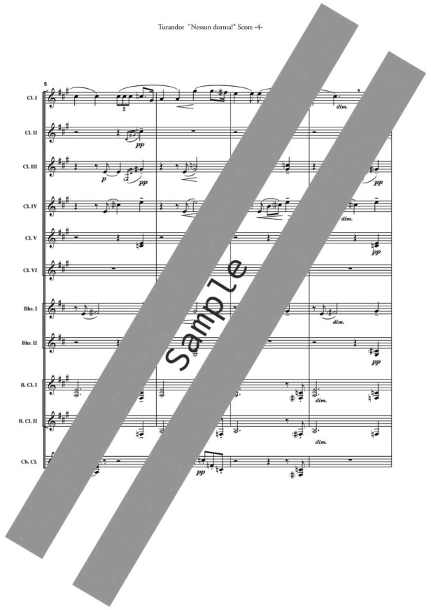 G. PUccini; Turandot; Nessun dorma; Clarinet; Choir; プッチーニ; トゥーランドット; 誰も寝てならぬ; 小林聡
